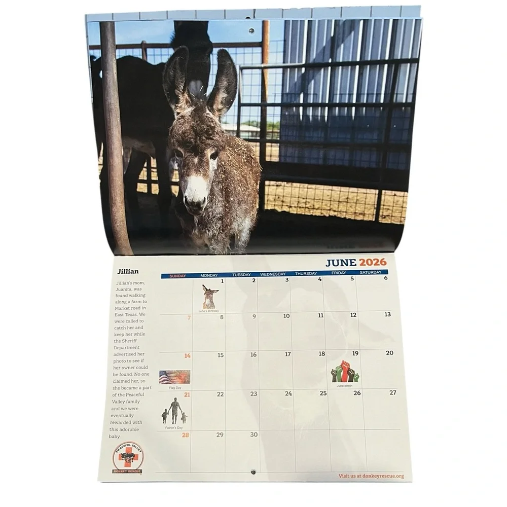 2026 Wall Calendar Babies Born To Bray Peaceful Valley Donkey Rescue 13 Month